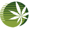 talon-analytical-logo